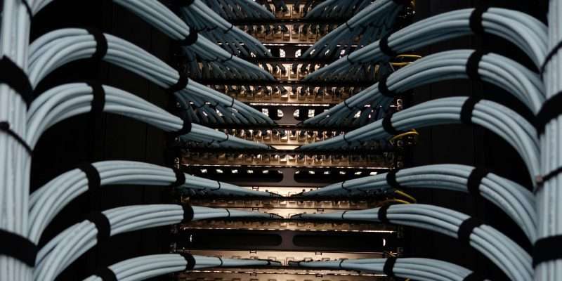 pexels-cookiecutter-19166565